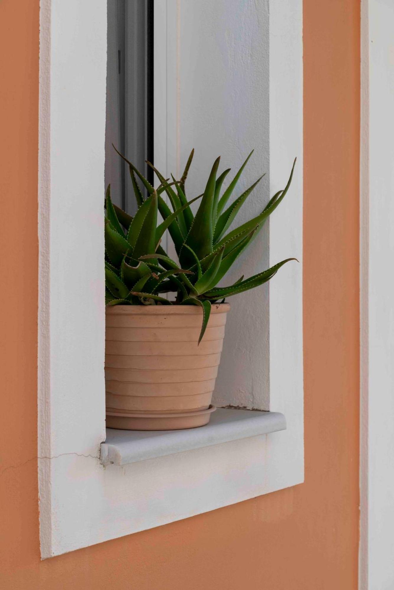 Aparthotel San Lazzaro Nydri  Exteriér fotografie